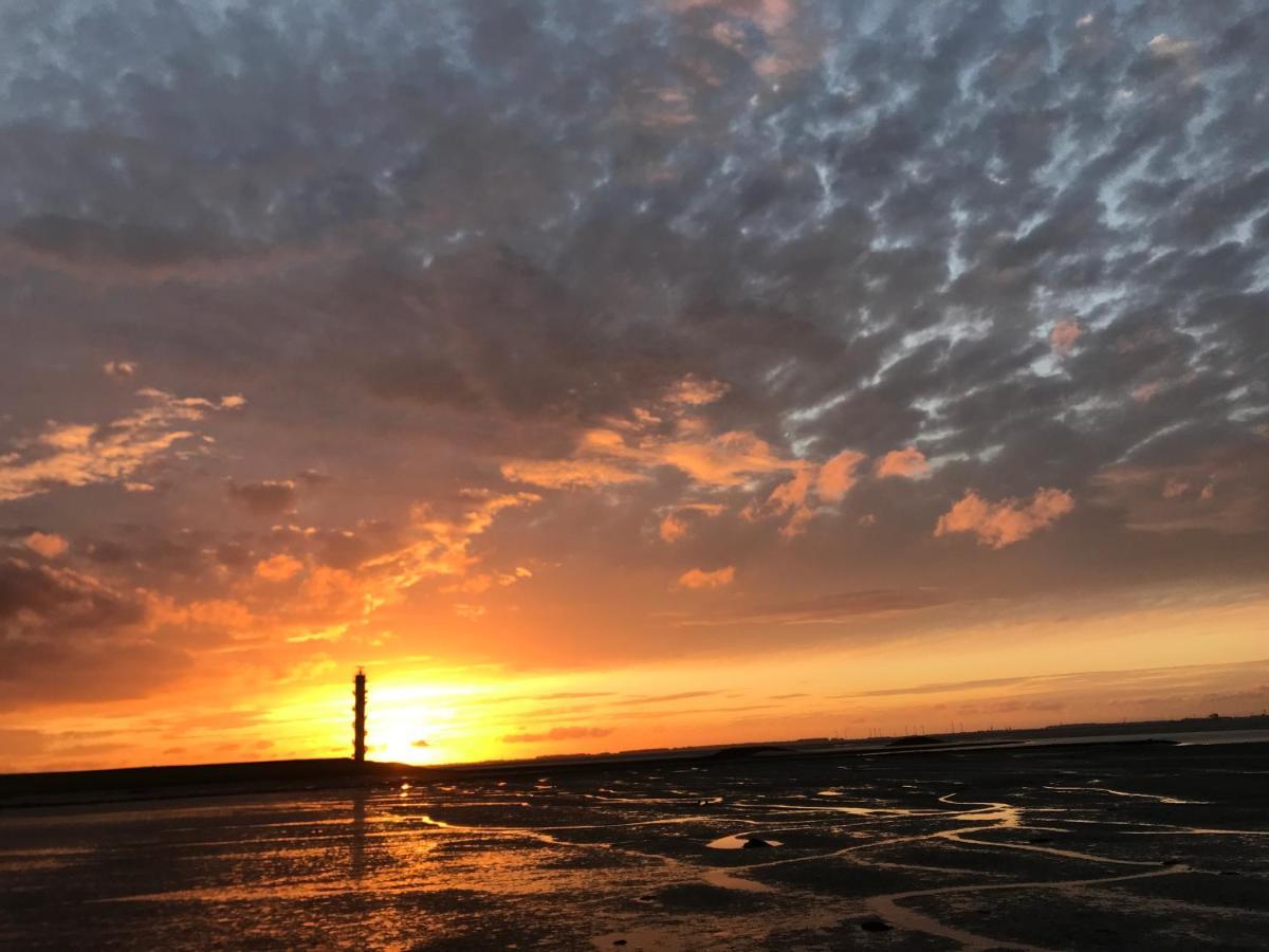 Artistiek Vakantiehuisje Hulst Kültér fotó