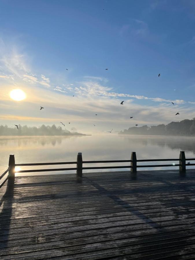 Artistiek Vakantiehuisje Hulst Kültér fotó