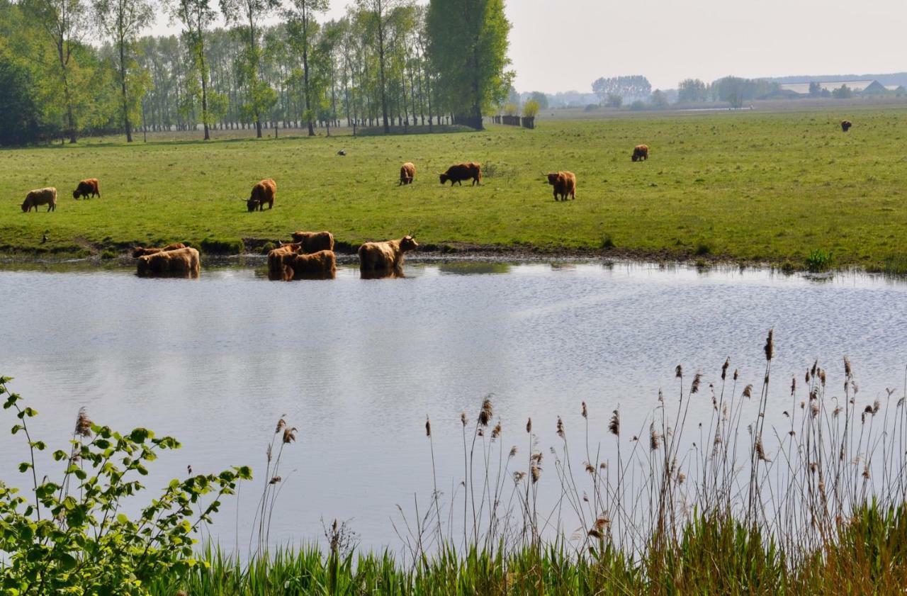 Artistiek Vakantiehuisje Hulst Kültér fotó