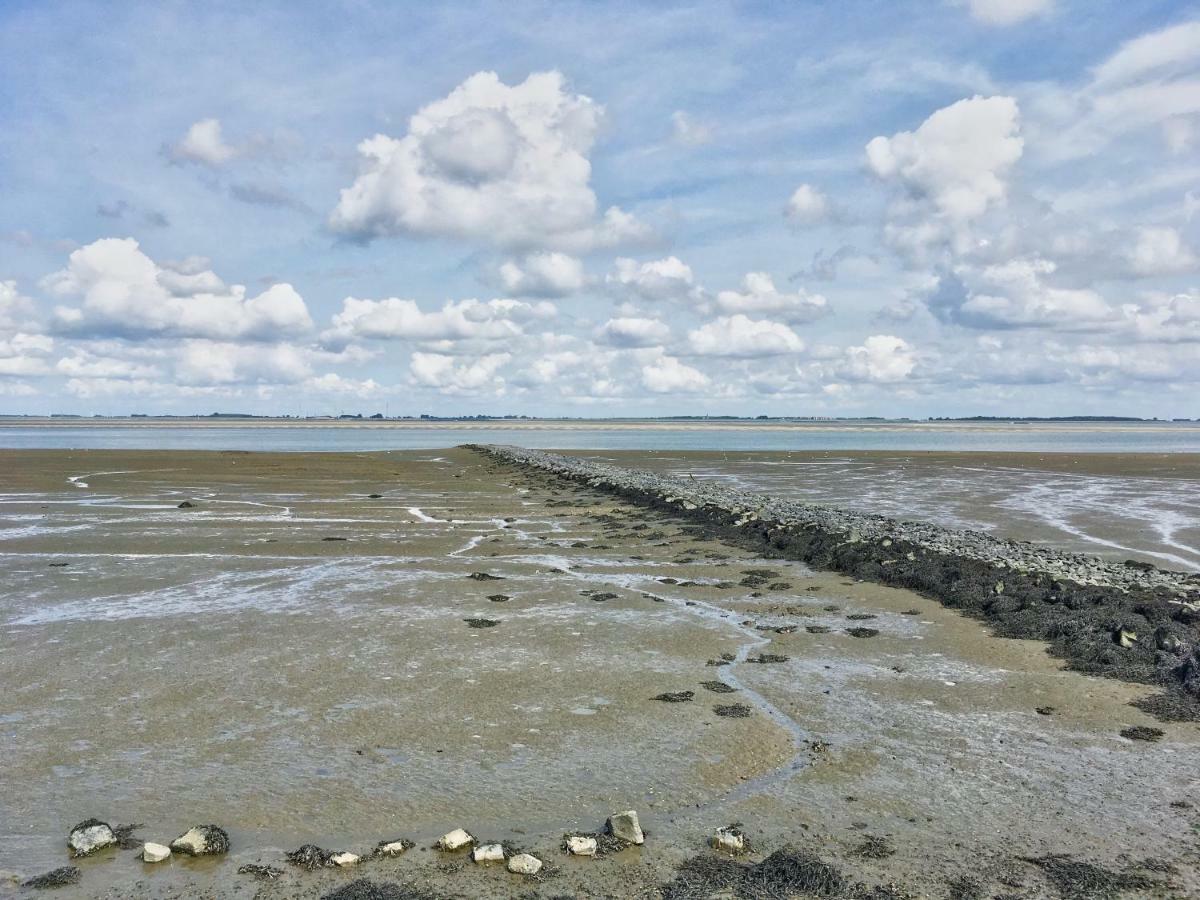 Artistiek Vakantiehuisje Hulst Kültér fotó