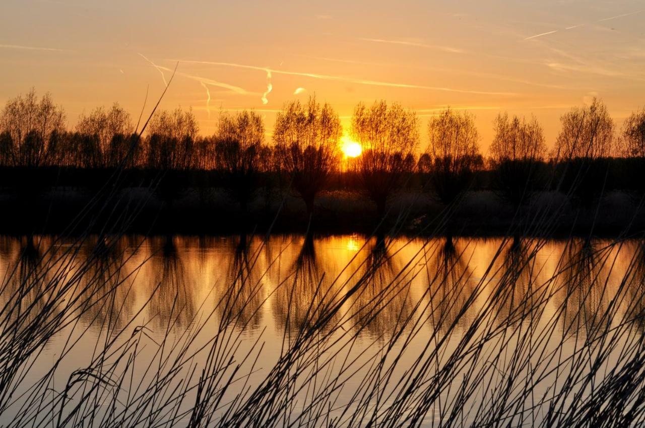 Artistiek Vakantiehuisje Hulst Kültér fotó