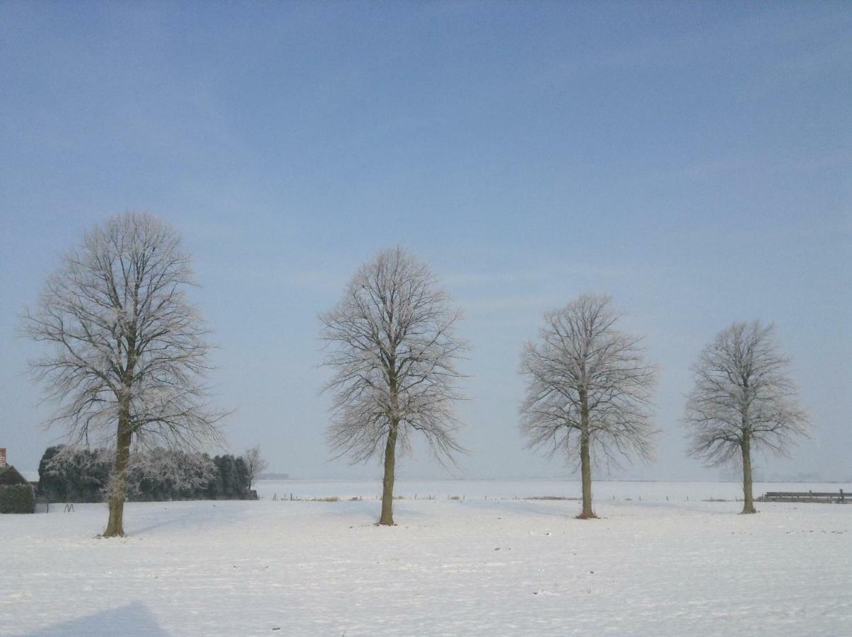 Artistiek Vakantiehuisje Hulst Kültér fotó